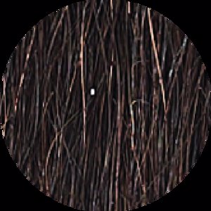 Horsehair