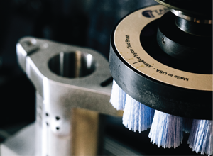 Image of Disc Brushes